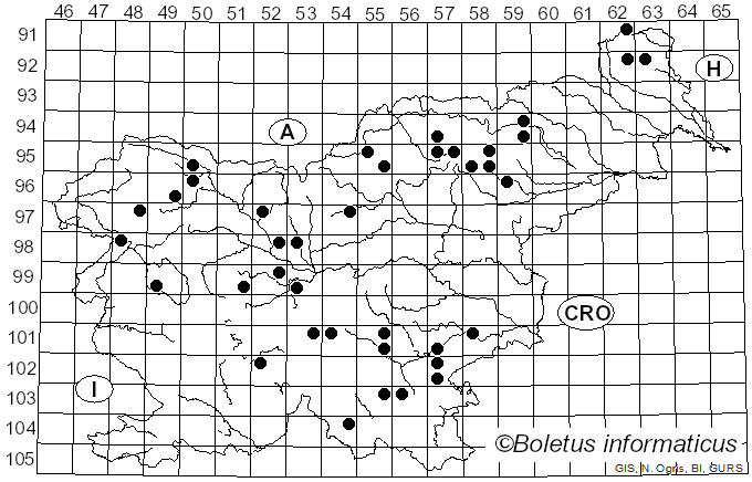 <i>Amylostereum areolatum</i> (Chaillet) Boidin (1958)