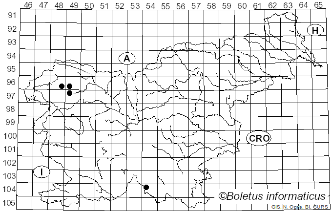 <i>Mycocalicium subtile</i> (Pers.) Szatala (1925)