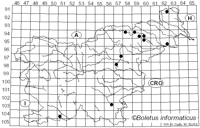 <i>Neolentinus cyathiformis</i> (Schaeff.) Della Magg. & Trassin. (2014)