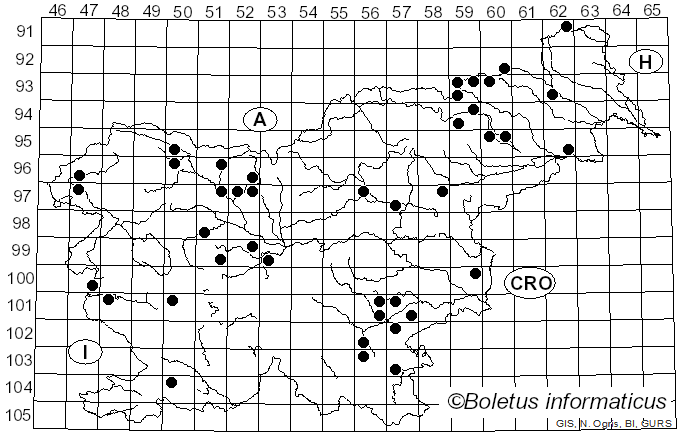 <i>Coprinellus domesticus</i> (Bolton) Vilgalys, Hopple & Jacq. Johnson (2001)