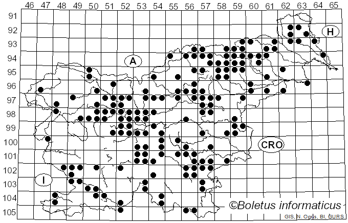 <i>Scutiger pes-caprae</i> (Pers.) Bondartsev & Singer (1941)