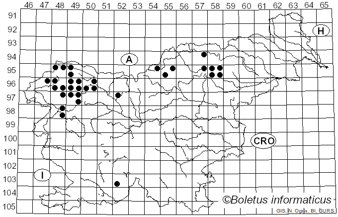 <i>Tuckermanopsis chlorophylla</i> (Willd.) Hale (1987)