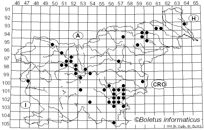 <i>Hygrophorus fagi</i> G. Becker & Bon (1974)
