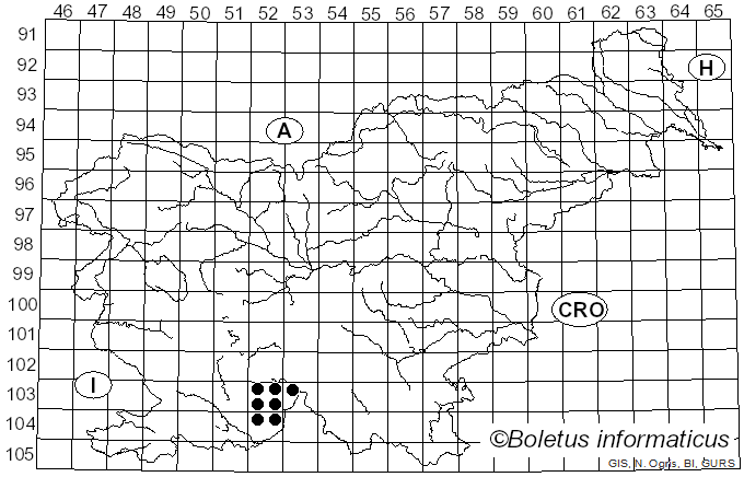 <i>Degelia</i> Arv. & D.J. Galloway (1981)