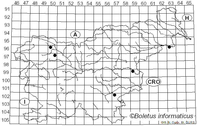 <i>Bactridium</i> Kunze (1817)