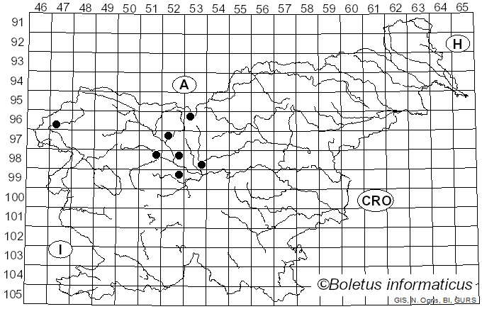 <i>Atheniella adonis</i> (Bull.) Redhead, Moncalvo, Vilgalys, Desjardin & B.A. Perry (2012)