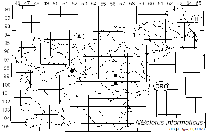 <i>Loranthus europaeus</i> Jacq.