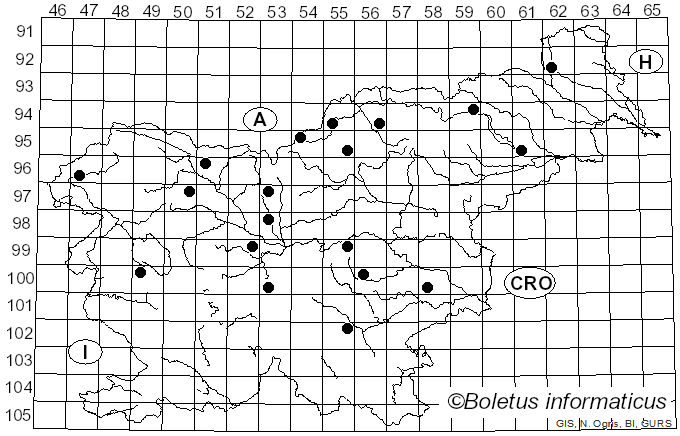 <i>Cribraria</i> Pers. (1794)