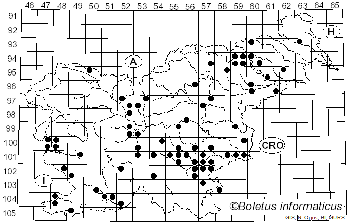<i>Suillus placidus</i> (Bonord.) Singer (1945)