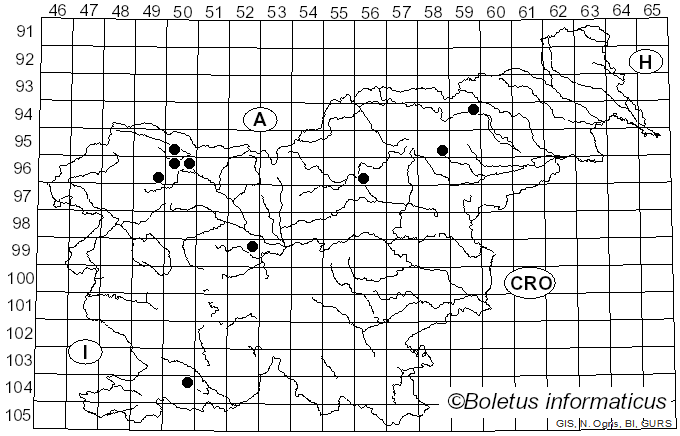 <i>Deconica merdaria</i> (Fr.) Noordel. (2009)