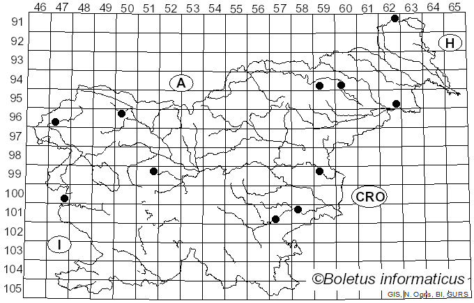 <i>Conocybe rickenii</i> (Jul. Schäff.) Kühner (1935)