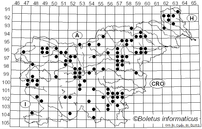 <i>Pholiota squarrosa</i> (Weigel) P. Kumm. (1871)