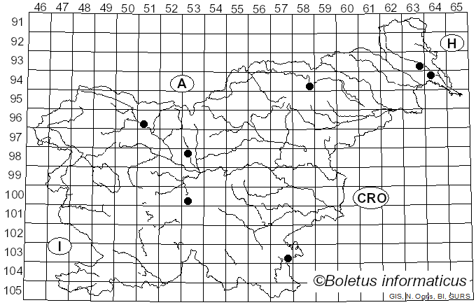 <i>Ophiognomonia leptostyla</i> (Fr.) Sogonov (2008)