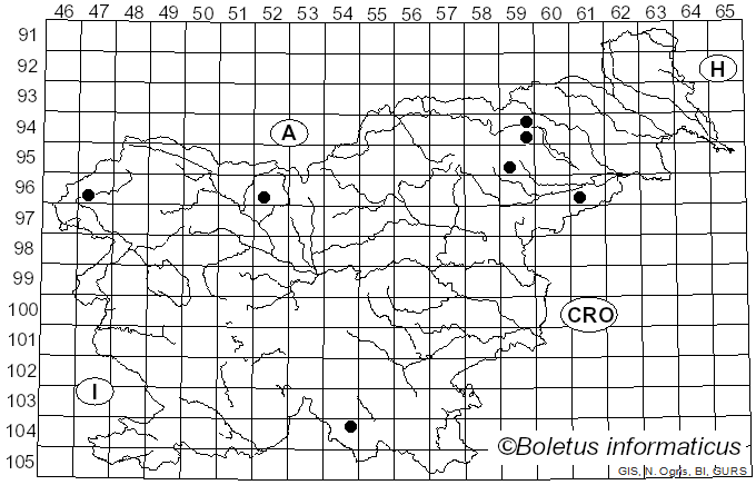 <i>Stereum ostrea</i> (Nees) Fr. (1838)