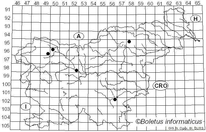 <i>Inocybe hystrix</i> (Fr.) P. Karst. (1879)