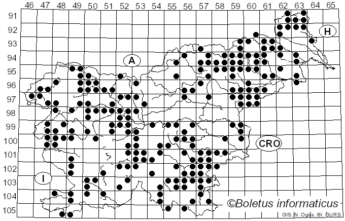 <i>Xylaria</i> Hill ex Schrank (1789)