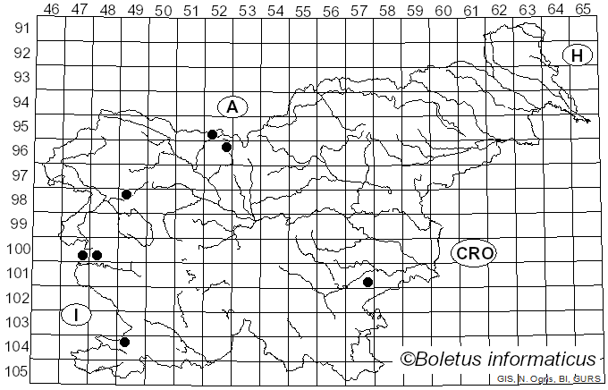 <i>Scutellinia barlae</i> (Boud.) Maire (1933)