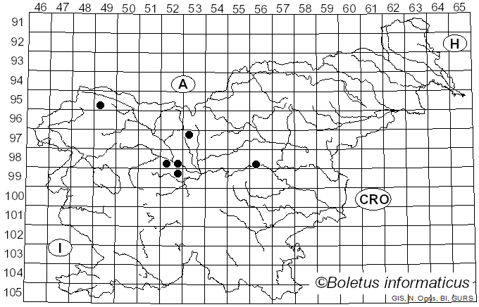 <i>Urocystis</i> Rabenh. ex Fuckel (1870)