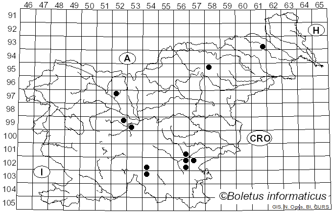 <i>Cortinarius avellaneocoeruleus</i> (M.M. Moser) M.M. Moser (1967)