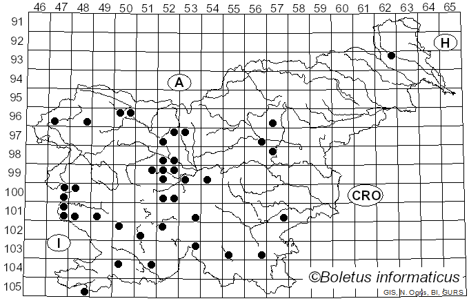 <i>Gymnosporangium</i> R. Hedw. ex DC. (1805)