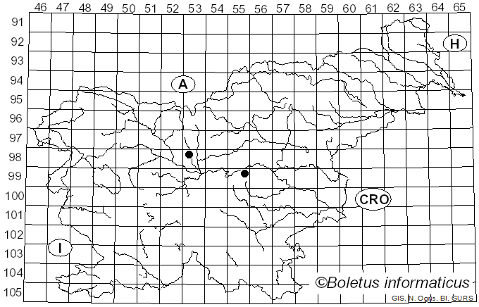 <i>Cribraria persoonii</i> Nann.-Bremek. (1971)