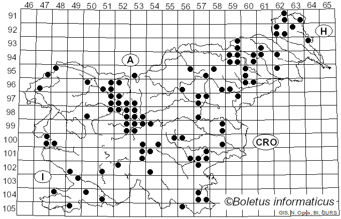 <i>Auriscalpium</i> Gray (1821)