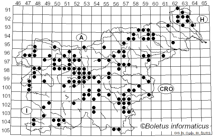 <i>Cuphophyllus virgineus</i> (Wulfen) Kovalenko (1989)