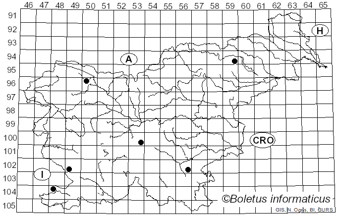 <i>Tricholomella constricta</i> (Fr.) Zerova ex Kalamees (1992)