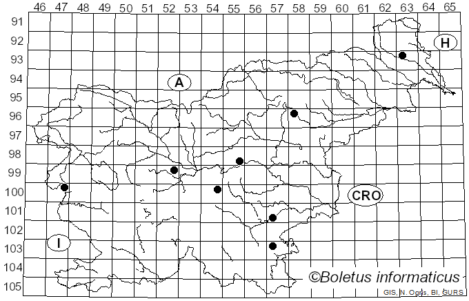 <i>Agaricus rusiophyllus</i> Lasch