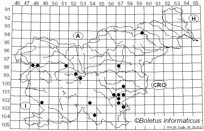 <i>Lactarius ruginosus</i> Romagn. (1957)