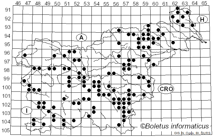 <i>Cortinarius trivialis</i> J.E. Lange (1940)
