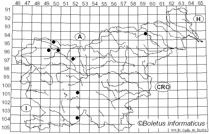<i>Clitopilus scyphoides</i> (Fr.) Singer (1946)