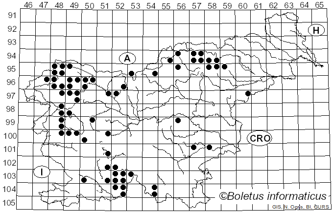 <i>Ramalina</i> Ach. (1809)