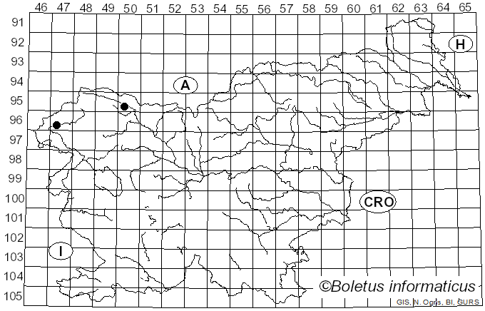 <i>Proliferodiscus pulveraceus</i> (Alb. & Schwein.) Baral (1985)