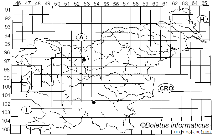 <i>Coleroa alchemillae</i> (Grev.) G. Winter (1887)