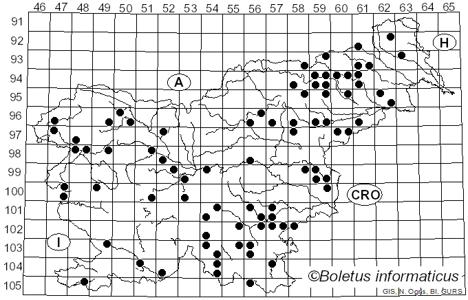 <i>Mycena crocata</i> (Schrad.) Fr. (1871)