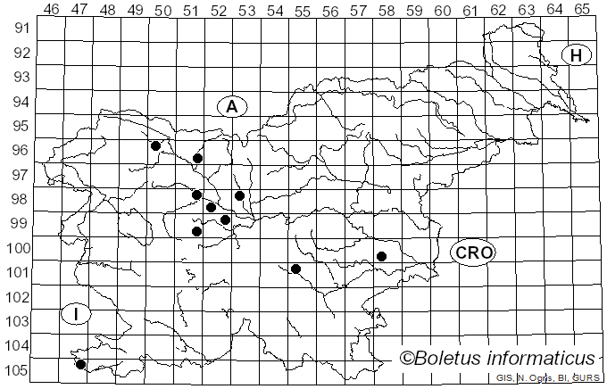 <i>Perichaena</i> Fr. (1817)