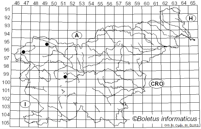 <i>Cosmospora arxii</i> (W. Gams) Gräfenhan & Schroers (2011)