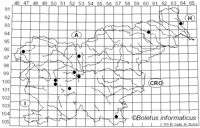 <i>Rhopographus filicinus</i> (Fr.) Nitschke ex Fuckel (1870)