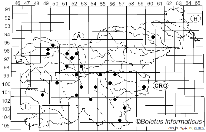 <i>Ceratiomyxa porioides</i> (Alb. & Schwein.) J. Schröt. (1889)