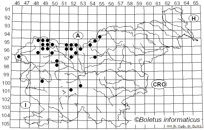 <i>Chrysomyxa rhododendri</i> (DC.) de Bary (1879)