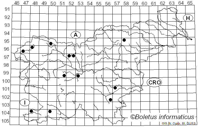 <i>Panaeolus antillarum</i> (Fr.) Dennis (1961)