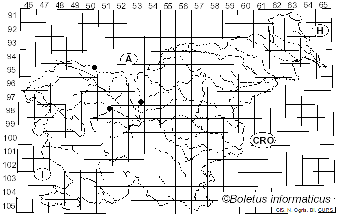 <i>Ramularia adoxae</i> (Rabenh.) P. Karst. (1884)