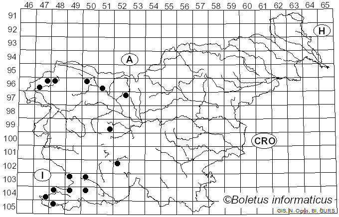 <i>Terana</i> Adans. (1763)