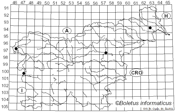 <i>Cryptosphaeria</i> Grev. (1822)