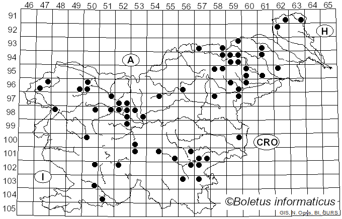 <i>Ampulloclitocybe</i> Redhead, Lutzoni, Moncalvo & Vilgalys (2002)