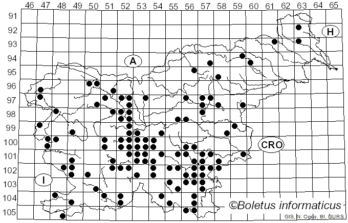 <i>Butyriboletus fechtneri</i> (Velen.) D. Arora & J.L. Frank (2014)