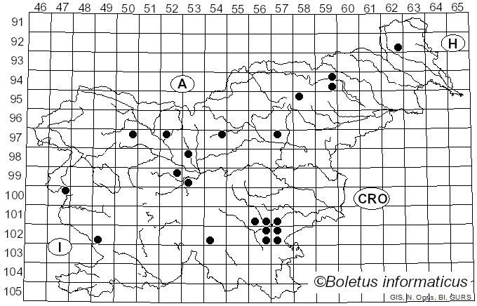 <i>Pholiota flavida</i> (Schaeff.) Singer (1951)
