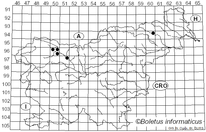 <i>Gloiothele</i> Bres. (1920)