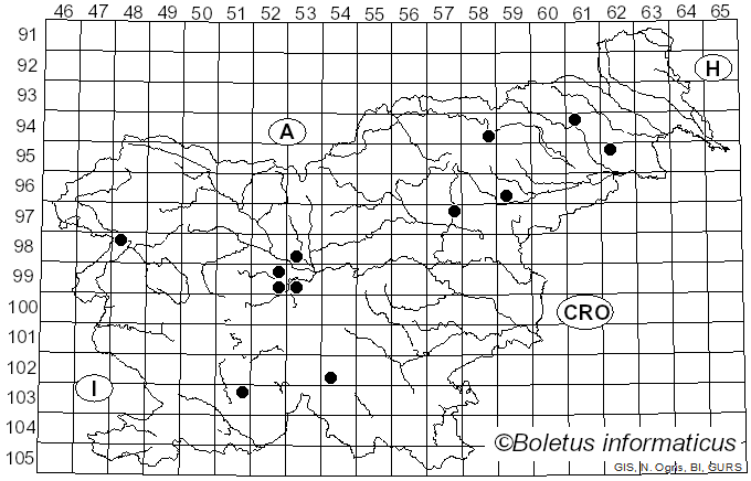 <i>Marasmius collinus</i> (Scop.) Singer (1942)
